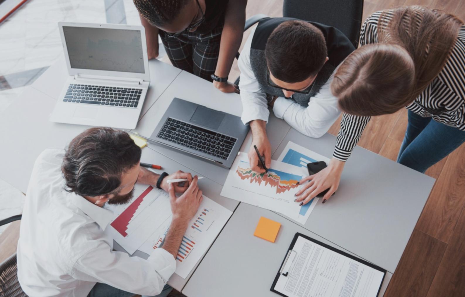 Programmstruktur und Lernmaterialien